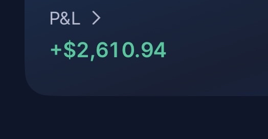 Daily P&L